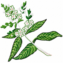 Plants Embroidery Design 9 Plants Embroidery Design 9